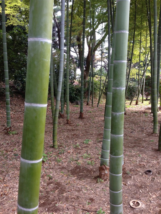 japan 3