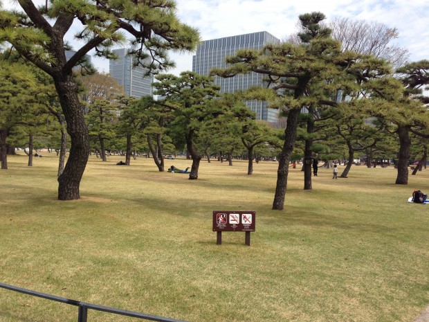 japan 5